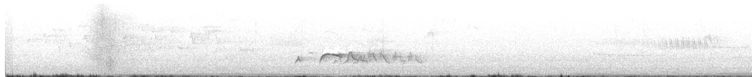 Olivflanken-Schnäppertyrann - ML579755961