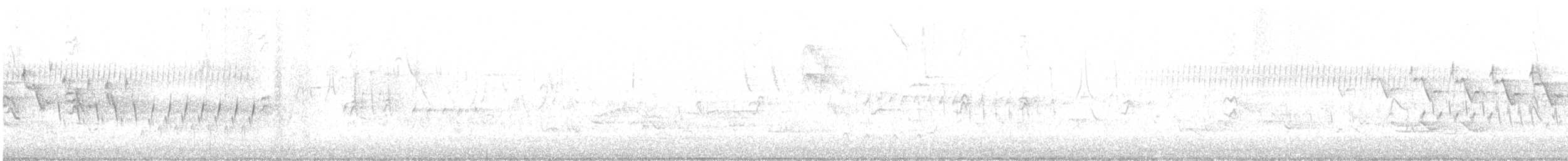 Northern House Wren - ML579776731