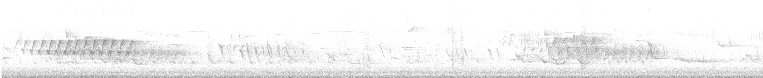Pine Warbler - ML579777081