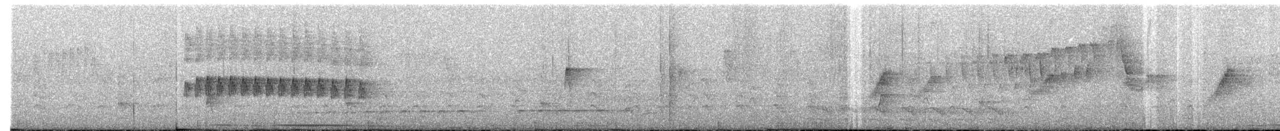 Brown-crested Flycatcher - ML579783821