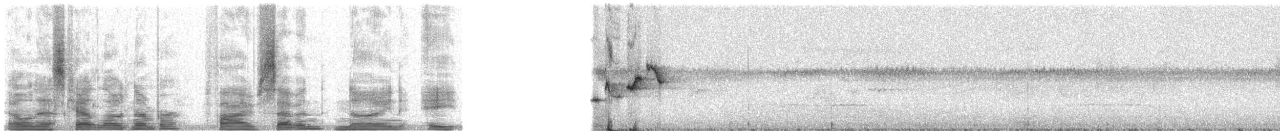 Fiji Bush Warbler - ML5798