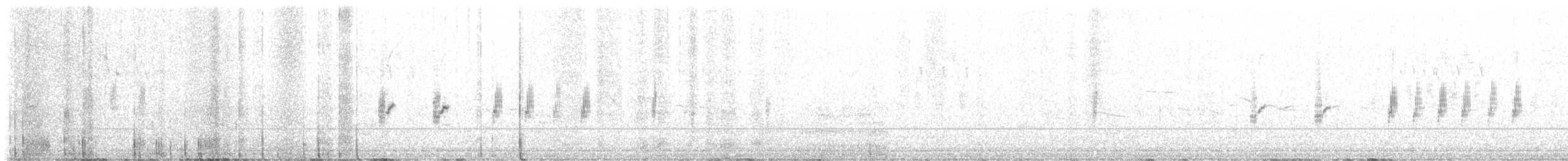 Ring-necked Pheasant - ML579818381