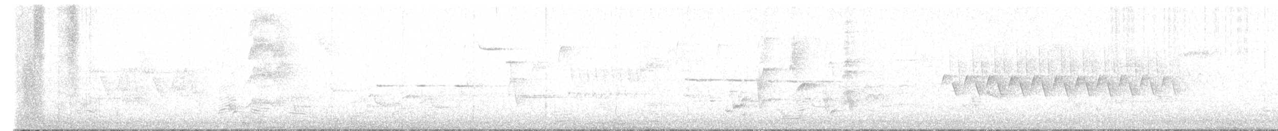 Chingolo Pantanero - ML579819781