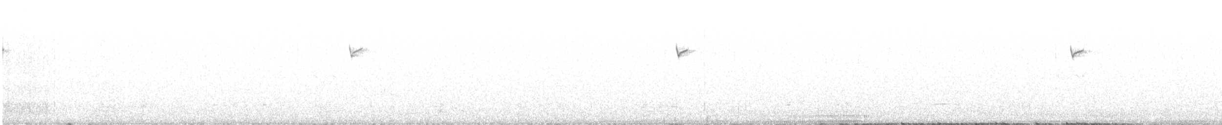 Фиолетовобородая горная нимфа - ML579853581