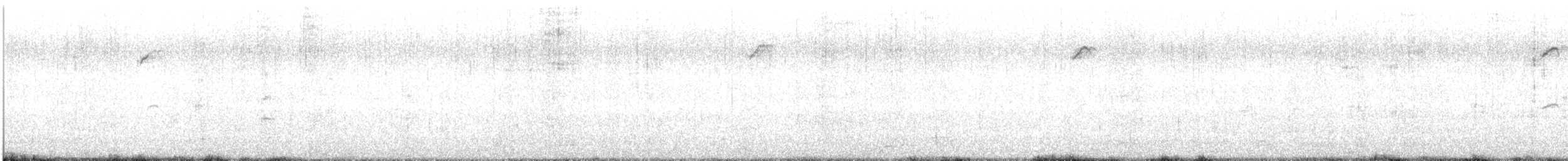 alkoun holubí - ML579919181
