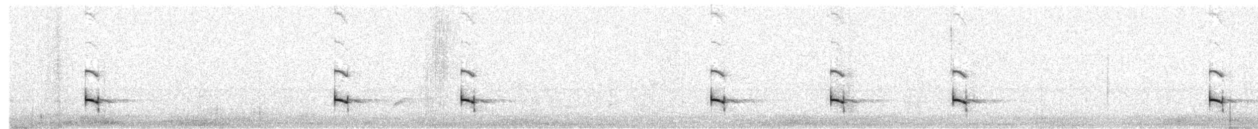 Rotnacken-Bandvogel (bitorquata) - ML579941241
