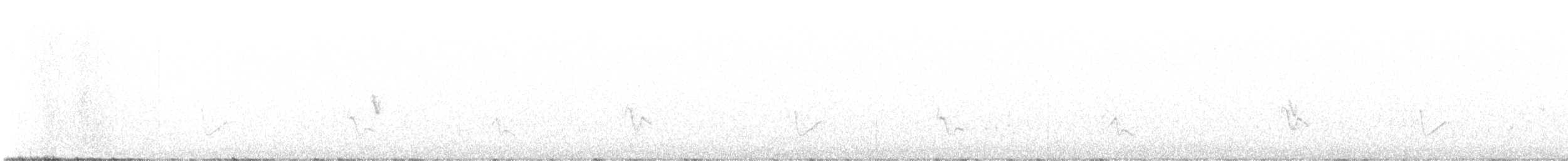 Gray Vireo - ML579946281
