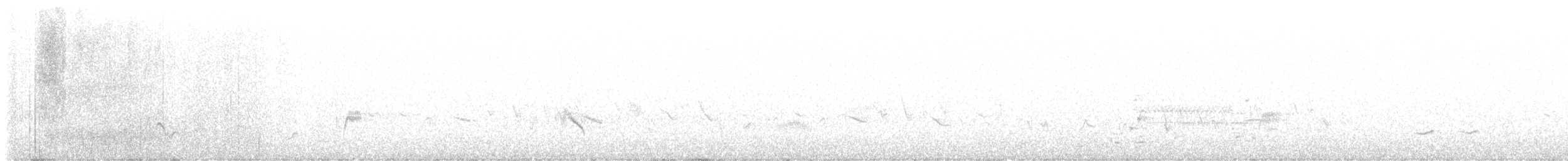 Gray Vireo - ML579946291