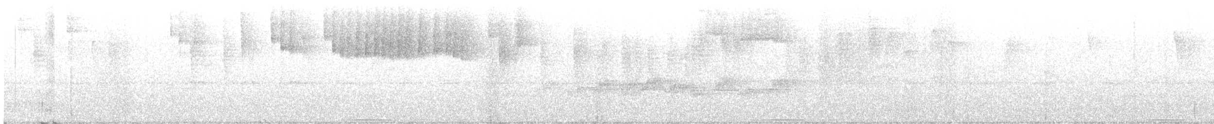 holub bělohrdlý - ML579947331