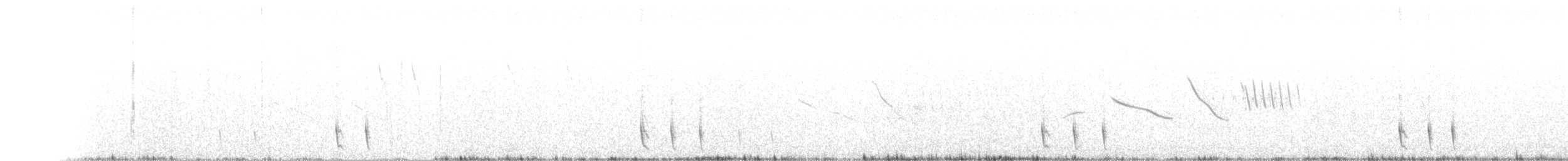 Olivscheitel-Bandvogel - ML579948291
