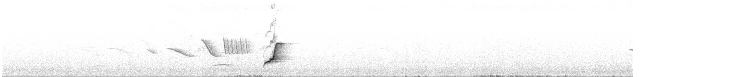 Tinamou des Andes - ML579950721