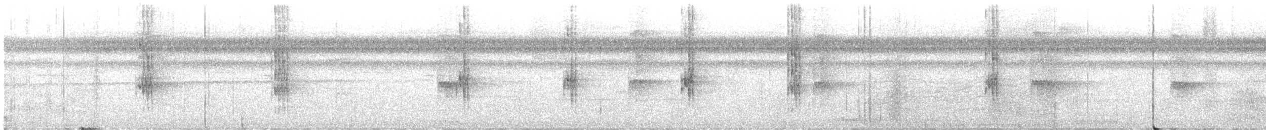 Kurzschwanz-Ameisenvogel - ML579956191