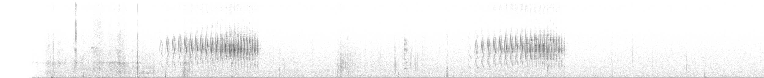 striperyggkurvfugl (sclateri gr.) - ML579957161