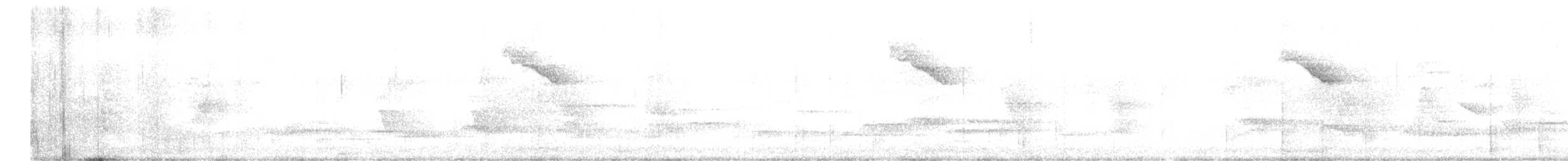 White-naped Brushfinch - ML579957231