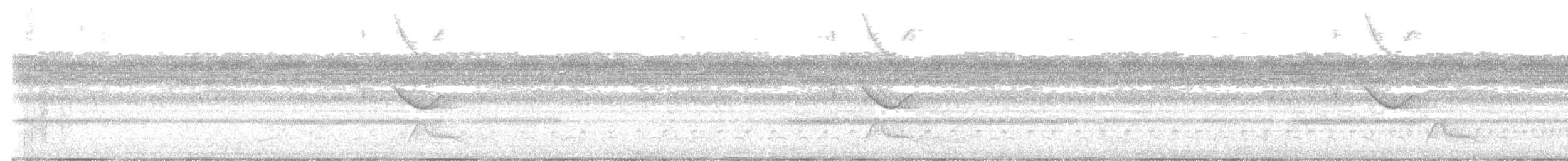 Spot-tailed Nightjar - ML579958081