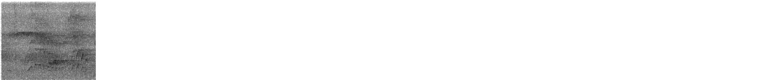 Stub-tailed Spadebill - ML579958471