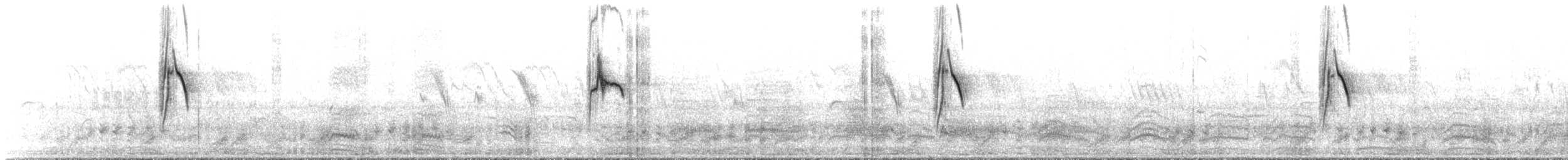 konipas luční (ssp. flava/beema) - ML579961671