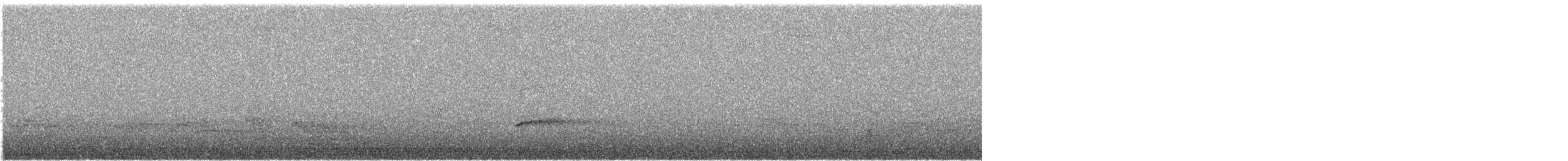 Дрізд-короткодзьоб Cвенсона - ML579980021
