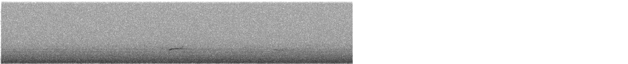 Дрізд-короткодзьоб Cвенсона - ML579980031