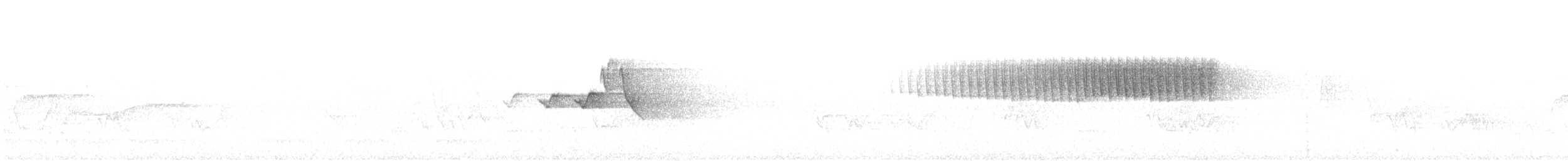 Worm-eating Warbler - ML579984371