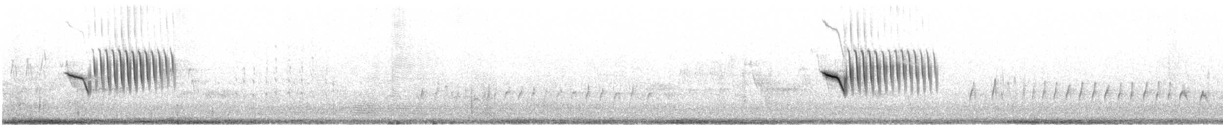 Тауї плямистий - ML579993041