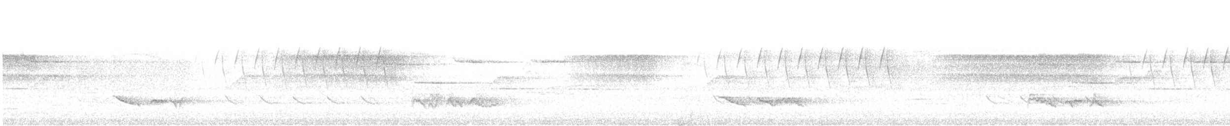 Eastern Bluebird - ML579993381