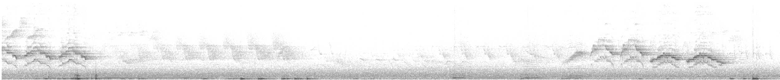 Weidenmusendrossel - ML580005001