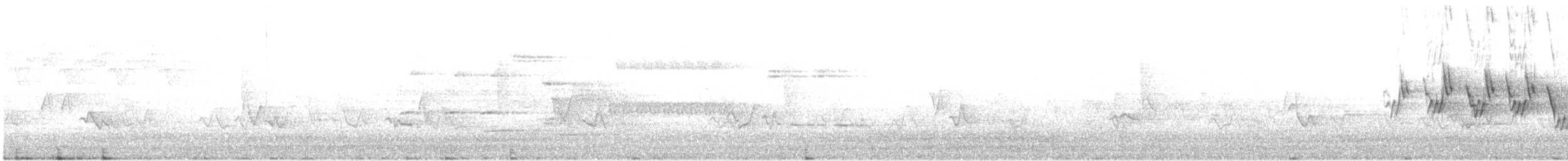 Черногорлая хвойница - ML580005171