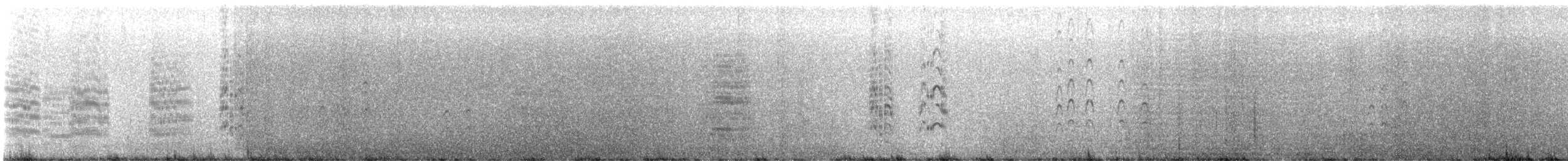Крячок рябодзьобий - ML580011351