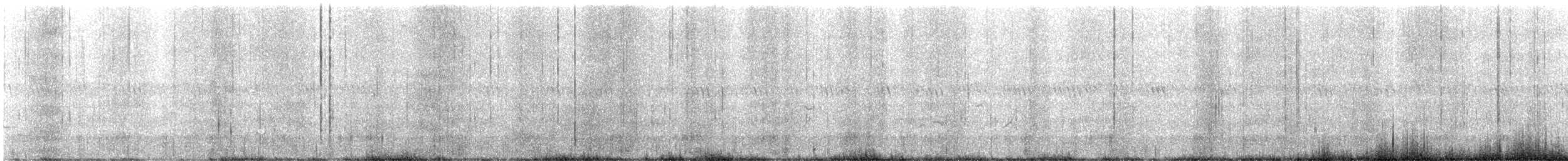 Eastern Warbling Vireo - ML580034961