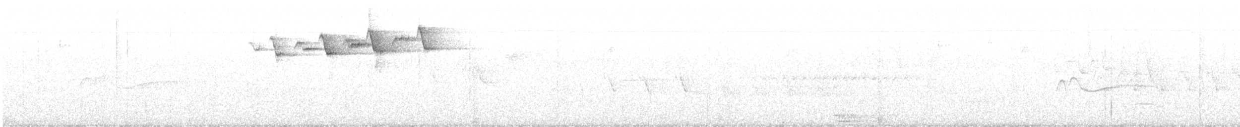 lesňáček černobílý - ML580036881