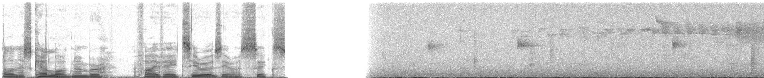 Brown Inca - ML58006