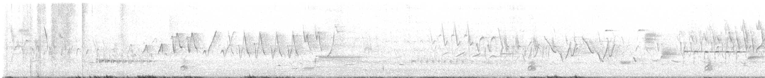 オオアメリカムシクイ - ML580062801