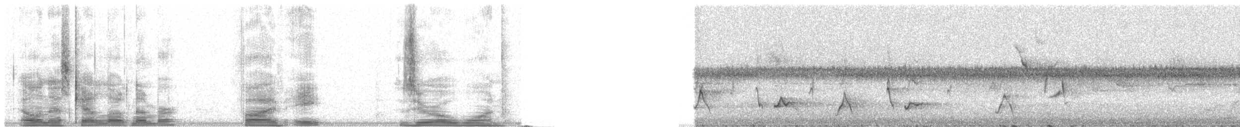 Fiji Bush Warbler - ML5801