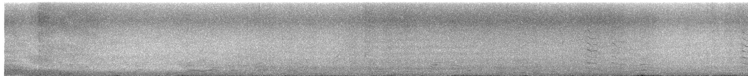Mouette atricille - ML580102901