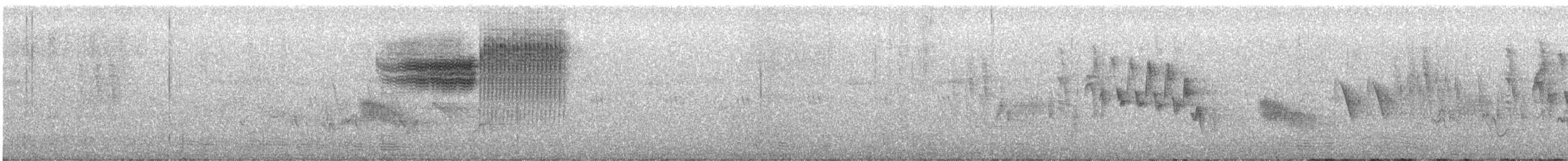 Голубокрылая червеедка - ML580128311
