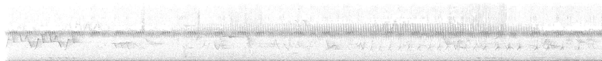 Least Bittern - ML580168911