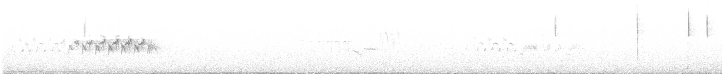 キヅタアメリカムシクイ（auduboni） - ML580172701