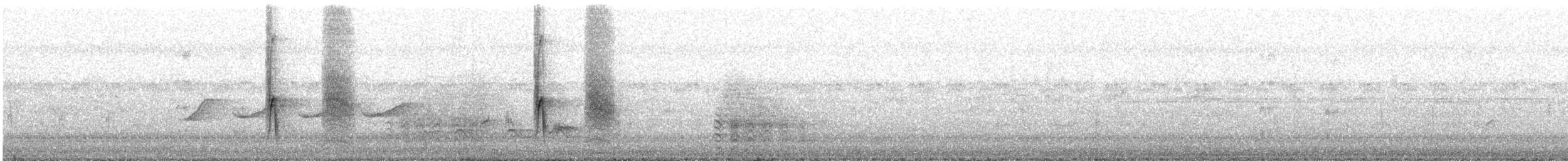 Черноспинная пухоспинка - ML580178591