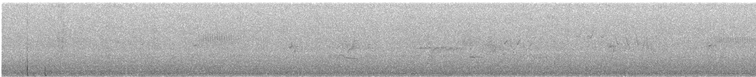 ネズミメジロハエトリ - ML580189861