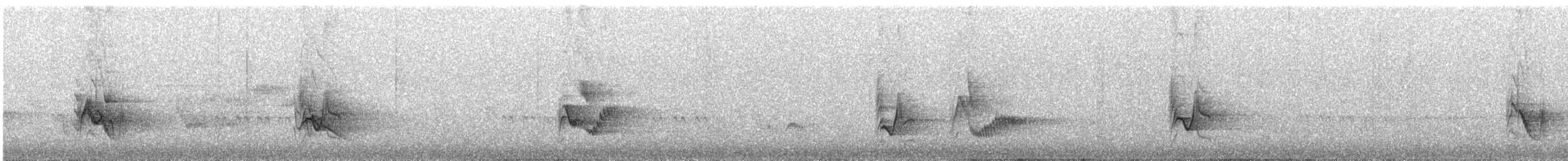 Plumbeous Vireo - ML580227921