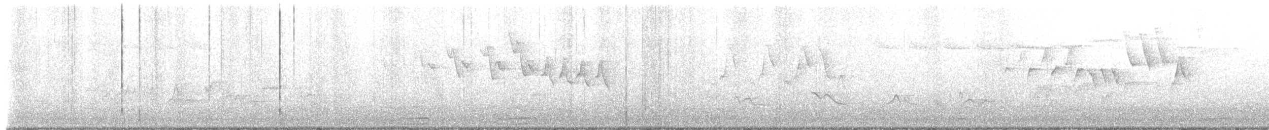 Nashville Warbler - ML580244921