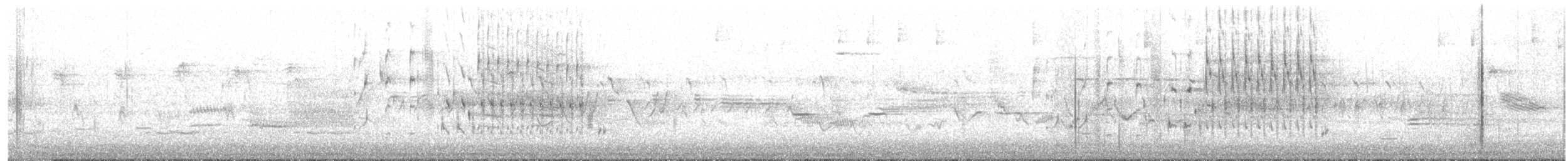 Marsh Wren - ML580299241
