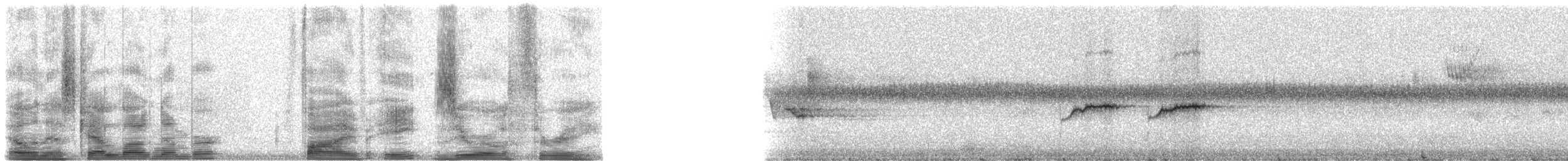 Chestnut-throated Flycatcher - ML5803