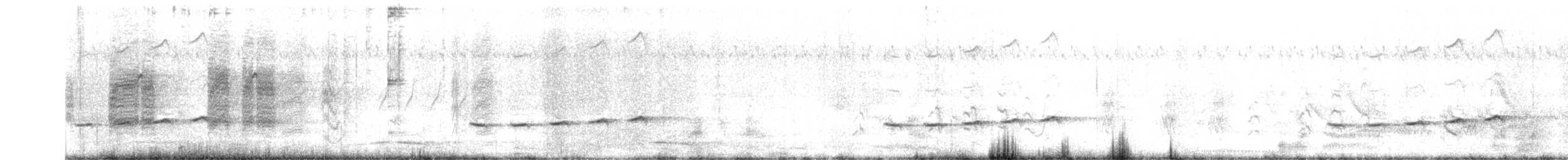 Square-tailed Drongo-Cuckoo - ML580304951