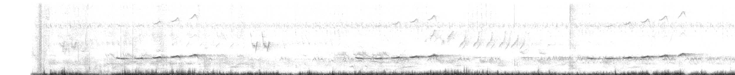 Square-tailed Drongo-Cuckoo - ML580304961