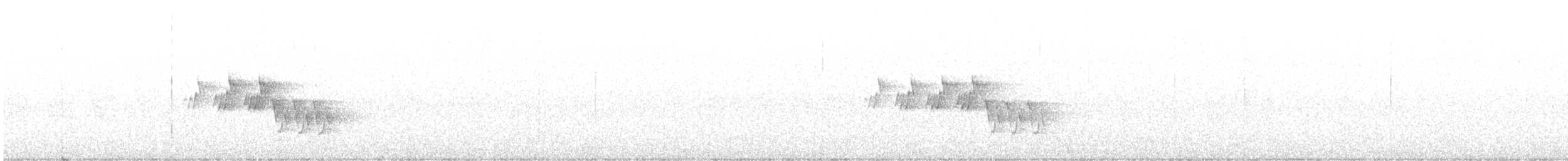 Mourning Warbler - ML580318201