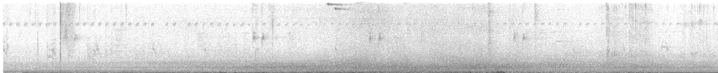 White Wagtail - ML580327371