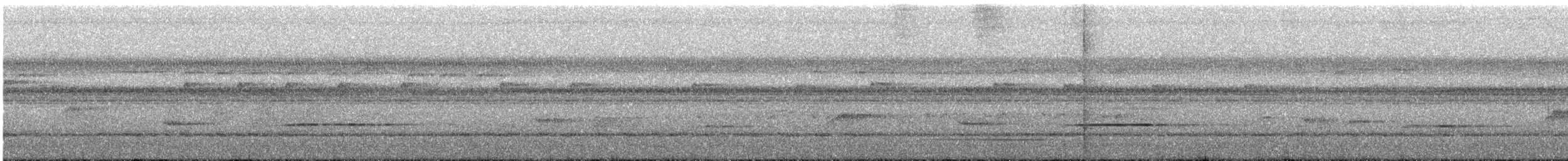 illadopsis sp. - ML580344361