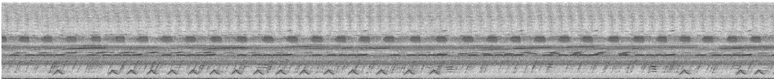 Bates's Nightjar - ML580345351